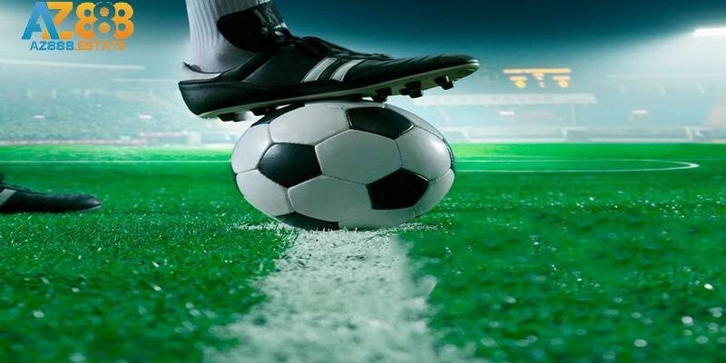 Không nên vội vàng đặt cược khi thấy tỷ lệ cược cao