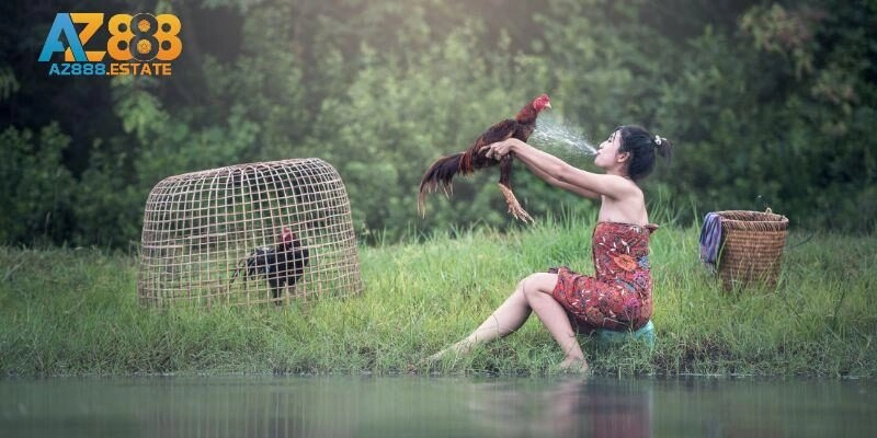 Chia sẻ cách theo tham gia đầu tư các trận đấu