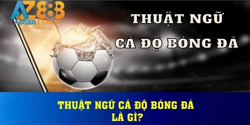 Nắm chắc thuật ngữ cá độ bóng đá giúp gia tăng cơ hội thắng