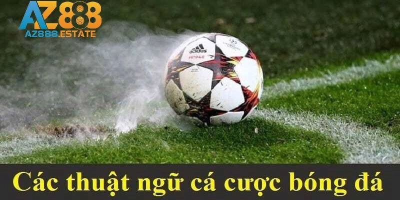 Thuật ngữ cần ghi nhớ khi tham gia cá độ bóng đá